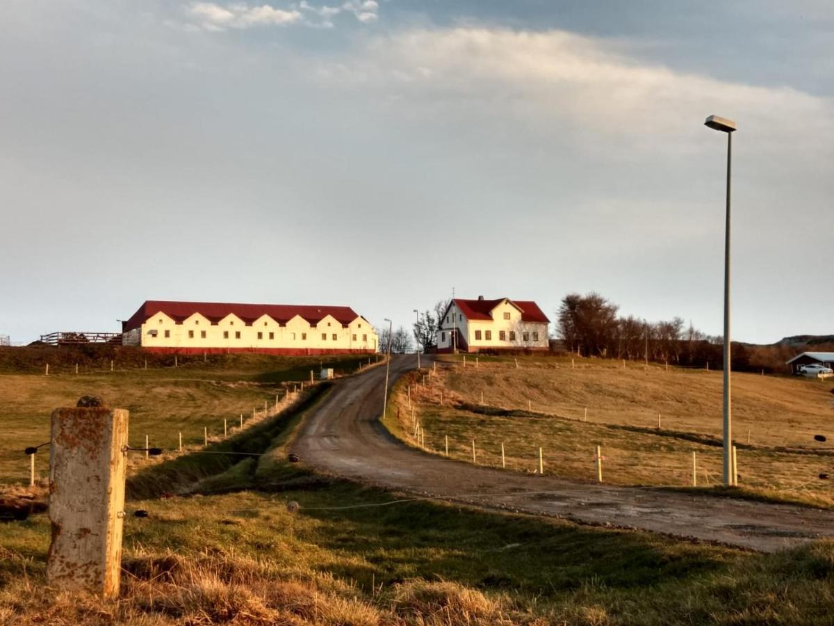 Helluland Guesthouse Saudarkrokur Esterno foto