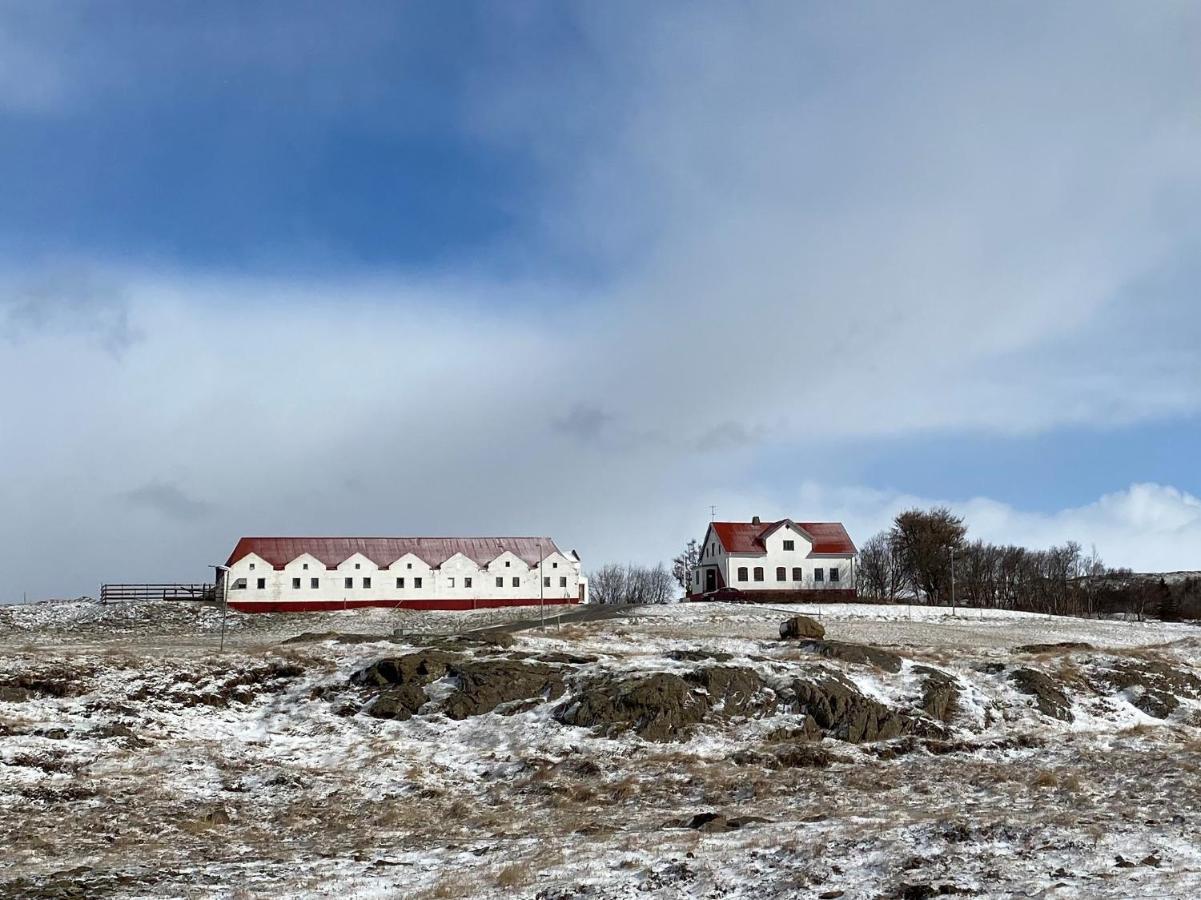 Helluland Guesthouse Saudarkrokur Esterno foto