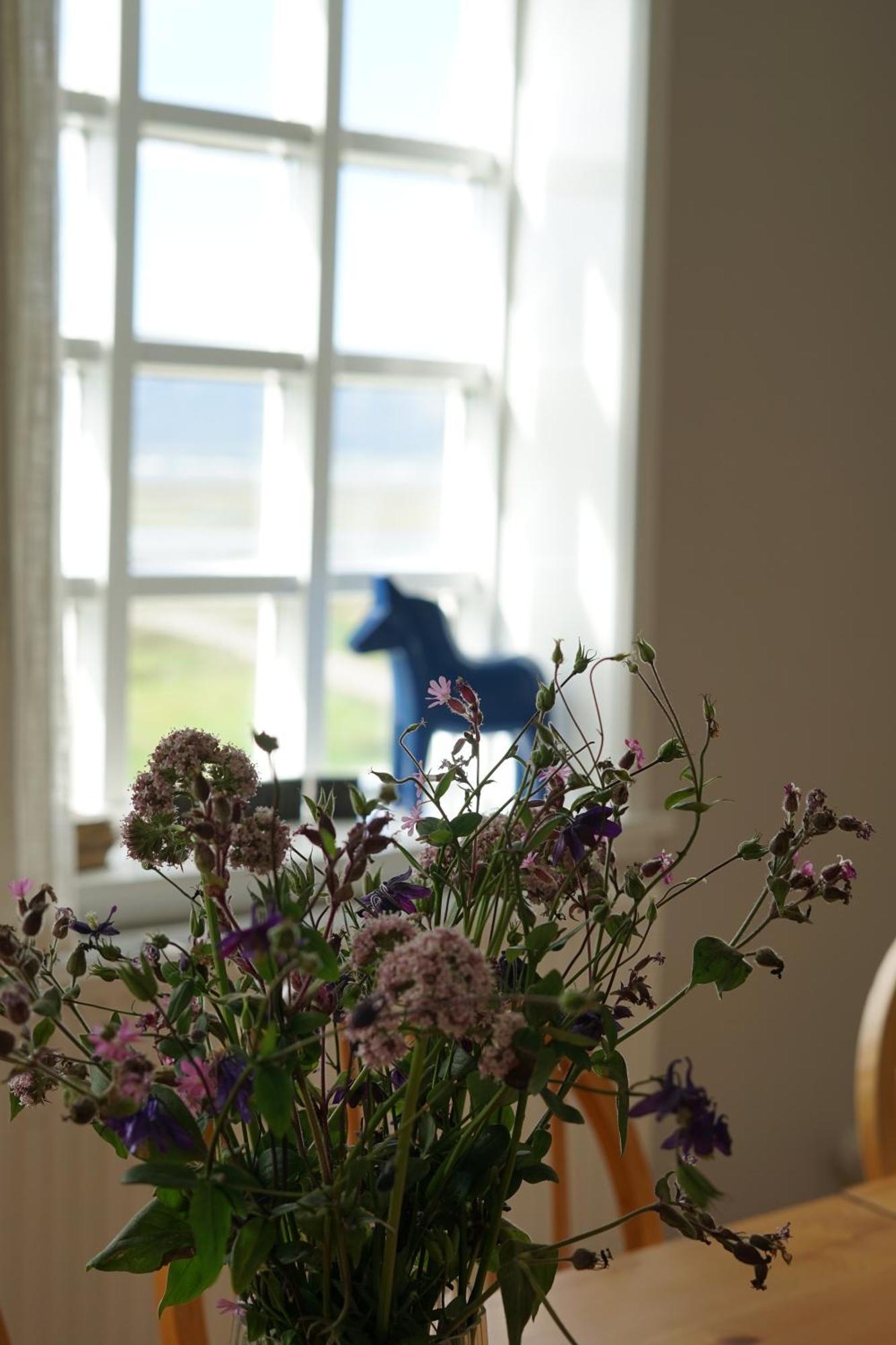 Helluland Guesthouse Saudarkrokur Esterno foto
